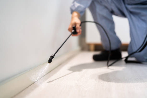 Professional exterminator conducting IPM assessment in Lonoke